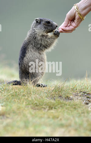 groundhog day young couple