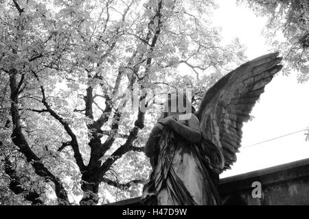 grave yard, grave, statue, angels, detail, s/w, Stock Photo