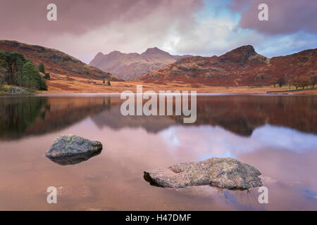 The Langdale Pikes mountains reflected in Blea Tarn, Lake District, Cumbria, England. Autumn (November) 2014. Stock Photo