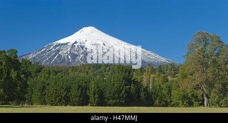 South America, Chile, Patagonia, volcano Villarrica, snowy summit, forest, Stock Photo