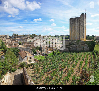 France, Gironde, Saint-Emilion, Bordeaux vineyards, nature, Stock Photo