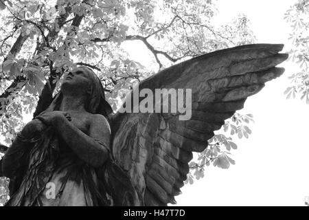 grave yard, grave, statue, angels, detail, s/w, Stock Photo