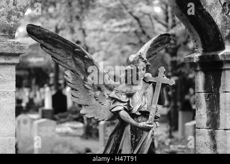 grave yard, grave, statue, angels, s/w, Stock Photo