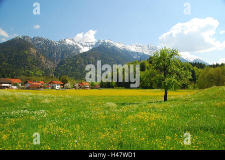 Germany, Bavaria, Werdenfels, Eschenlohe, local view, spring meadow, South Germany, Upper Bavaria, alpine upland, place, houses, mountains, meadow, spring, tree, sunny, deserted, Stock Photo