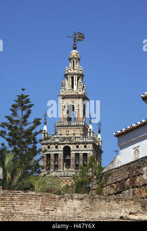 Spain, Andalusia, Seville, view from the Alcazar of the Giralda, Stock Photo