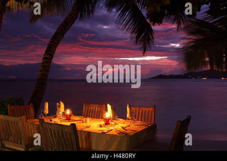 The Seychelles, evening mood, beach, laid table, palm, Stock Photo