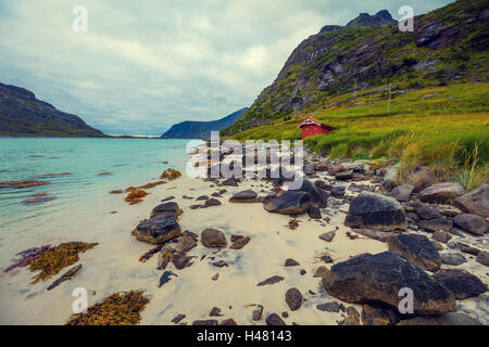 Fjord at sunset in rainy day, Rocky beach in evening, White sand on the beach. Beautiful nature of Norway. Lofoten islands Stock Photo
