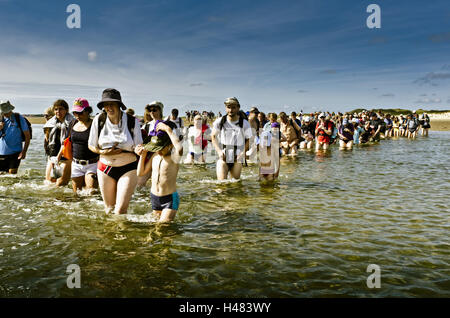 Germany, Schleswig-Holstein, Amrum, walk across the mudflats, tideway, group of tourists, Stock Photo