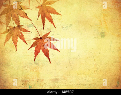 grunge background with autumn leaves Stock Photo