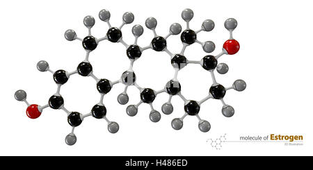 3d Illustration of Estrogen Molecule isolated white background Stock Photo