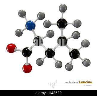 3d Illustration of Leucine Molecule isolated white background Stock Photo