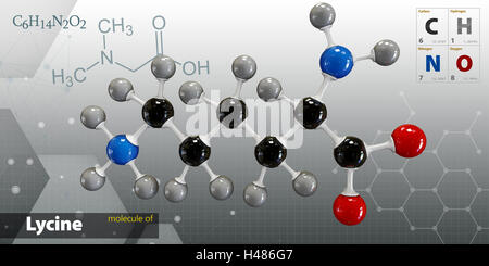 3d Illustration of Lycine Molecule isolated gray background Stock Photo