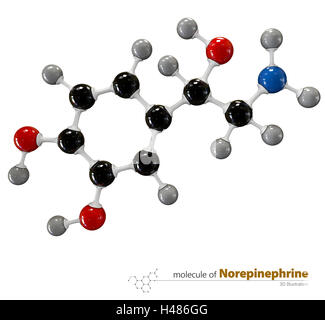 3d Illustration of Norepinephrine Molecule isolated white background Stock Photo