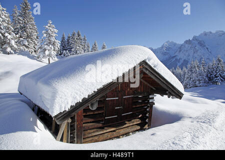 Hay barn in front of winter wood, Karwendel (mountain range), Germany, Bavaria, Upper Bavaria, scenery, Kranzberg, wood, mountain wood, trees, forks, branches, snowy, snow, snow caps, mountains, snow height, snow-covered, hut, barn, hay barn, beam, roof, season, winter, background, mountains, sky, blue, rest, silence, winter scenery, deserted, Stock Photo