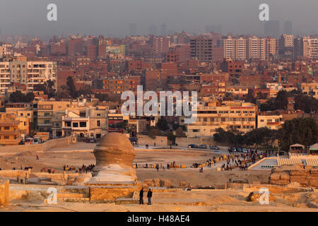 Egypt, Cairo, Giza, sphinx from the back, evening light, Stock Photo