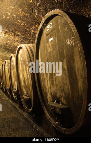 Wine cellar, wine casks, winery 'Carl Jung', castle Boosen, rough home, Hessen, Germany, Stock Photo