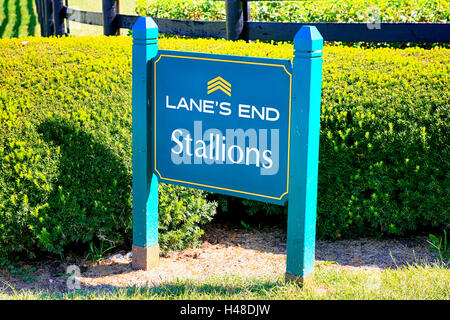 Lane's End Stallion stud farm in Versailles nr Lexington, KY, the State known as the 'Horse Capital of the World'. Stock Photo