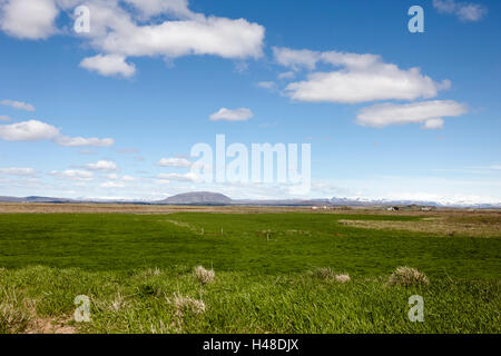 open farmland in lush fertile southern Iceland Stock Photo