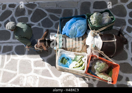 Greece, the Cyclades, Paros, Parikia, vegetable sellers with donkey in the Lochagou Gravari street, Stock Photo