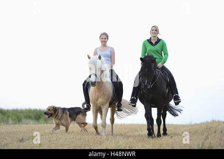 Teenage girls, horses, field, front view, riding, looking at camera, Stock Photo