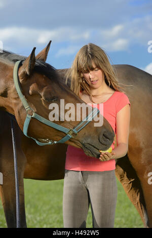 Girl, rider, horse, feed, half portrait, Stock Photo