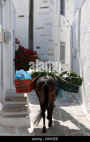 Greece, the Cyclades, Paros, Parikia, vegetable sellers with donkey in the Lochagou Gravari street, Stock Photo