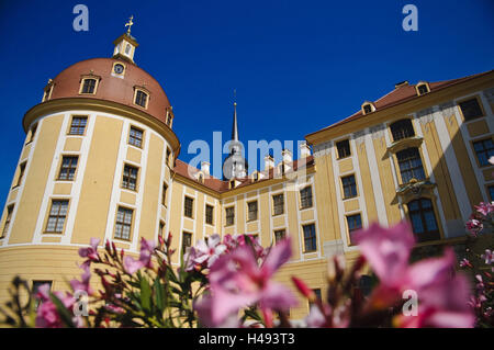 Moritzburg Castle, Saxony, Germany, Stock Photo
