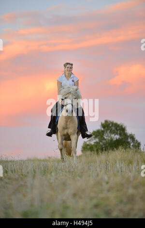 Teenage girl, horse, Icelander, back, head-on, sit, view camera, Stock Photo