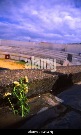 Spain, ex-diaeresis dura, Fuentes de Leon, bullfight arena, detail, defensive wall, flowers, destination, place of interest, arena, bullfight, building, structure, architecture, stand, spectator's stand, outside, deserted, blur, Stock Photo