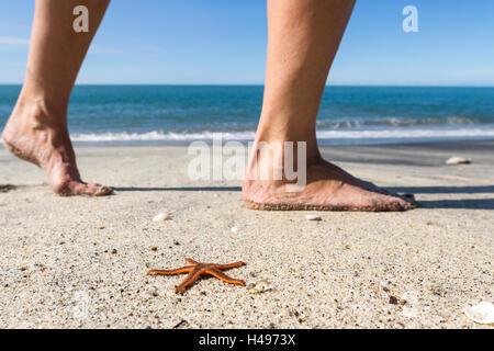 orange starfish on the beach with a persons feet walking by it Stock Photo