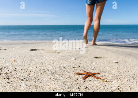 orange starfish on the beach with a persons feet walking by it Stock Photo