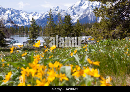 USA, Grand Teton Nationwide park, Stock Photo