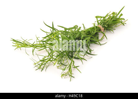 Bunch of fresh tarragon herbs isolated on white Stock Photo