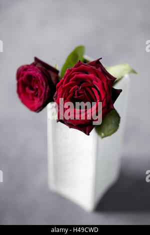 White vase with two red roses, Stock Photo