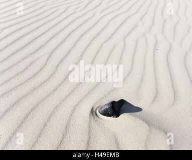 Sand, white, wavy lines, stone, black, beach, sandy beach, desert, sand desert, sand dune, dune, ripple marks, wave pattern, patterns, lines, flow, wind flow, wave furrows, structure, wind, sticking out, interruption, malfunction, Still Life, foreign bodi Stock Photo