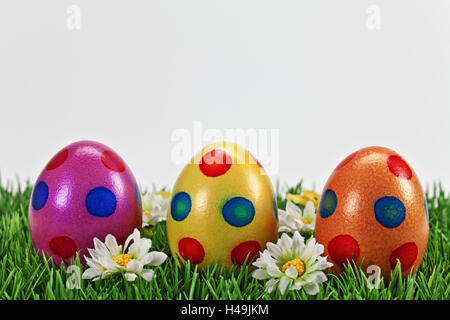 Easter, Easter eggs, three, brightly, flower meadow, artificially, Stock Photo