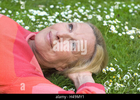 Meadow, daisy, senior, happy, recreation, portrait, side view, people, senior citizens, happy, carefree nature, smile, satisfaction, spring, spring meadow, flowers, blossom, enjoy, leisure time, rest, dreamily, Stock Photo