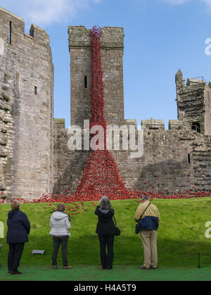 Caernarfon, Wales, 14th October, 2016.  Visitors photograph Weeping Window poppies display from the installation ‘Blood Swept Lands and Seas of Red’ at Caernarfon Castle. Credit:  Fotan/Alamy Live News Stock Photo