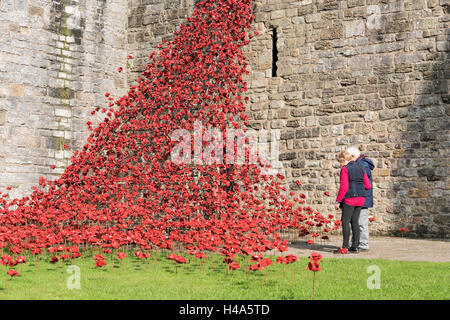 Caernarfon, Wales, 14th October, 2016.  A couple admires the Weeping Window poppies display from the installation ‘Blood Swept Lands and Seas of Red’ at Caernarfon Castle. Credit:  Fotan/Alamy Live News Stock Photo