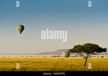 Africa, Tanzania, East Africa, Serengeti, national park, balloon, hot-air balloon, balloon ride, Stock Photo