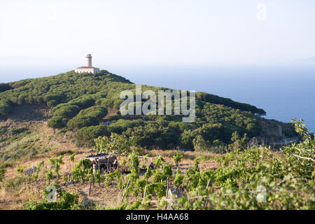 Italy, Tuscany, 'Isola del Giglio', coast, Stock Photo