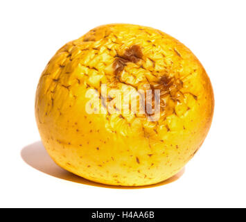 rotten apple on white background close up Stock Photo