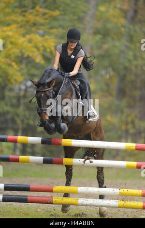 Teenagers girl, horse, Bavarian warm blood, ride, jump, head-on, Stock Photo