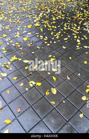 fallen colorful autumnal leaves lay on urban sidewalk Stock Photo