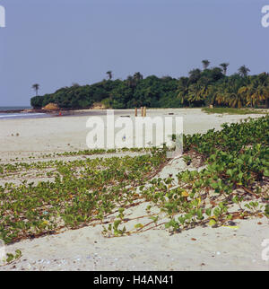 Senegal, to bass Casamance, Cap Skirring, beach, sea, Africa, West, Africa, lower Casamance, coast, coastal scenery, vegetation, plants, wood, palms, sandy beach, Sand, bathers, Stock Photo