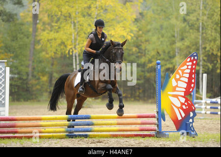 Teenagers girl, horse, Bavarian warm blood, ride, jump, head-on, Stock Photo