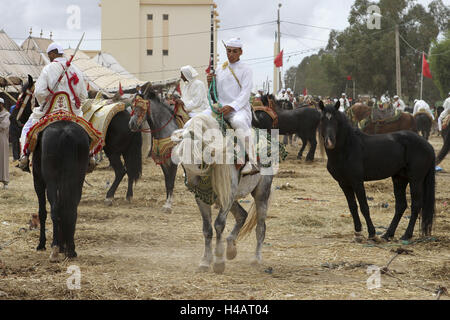 Africa, Morocco, Meknes, Rommani, horses with riders at a Fantasia, Stock Photo