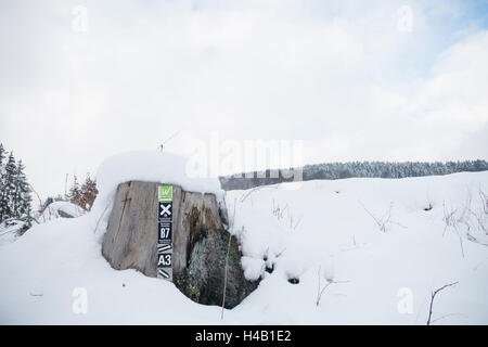 Hiking trail sign at tree stump in the snow Stock Photo
