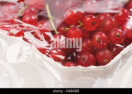 Peel, red currants, Ribes rubrum in front of judgment, envelope, close up, Food, fruit, fruits, summer fruit, soft fruits, eatable, berries, red, gooseberry plants, Rispen, Johanisbeer-Rispen, acidly, sour, low-calorie, freshness, vitamins, rich in vitamins, product photography, clear view transparency, transparency envelope, Stock Photo