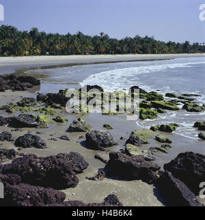 Senegal, to bass Casamance, Cap Skirring, palm beach, sea, Africa, West, Africa, lower Casamance, coast, coastal scenery, beach, sandy beach, Sand, rock, palms, nobody, Stock Photo